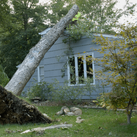 A tree that fell on a home that didnt use Roof Protection for storms with Action Exteriors.