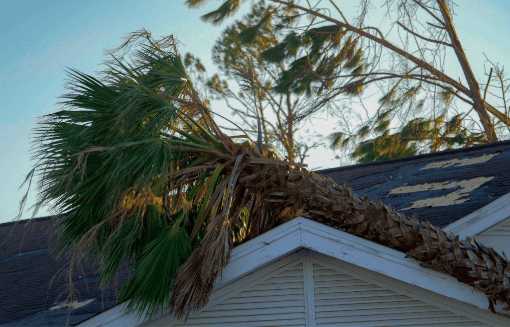 Storm damaged roof