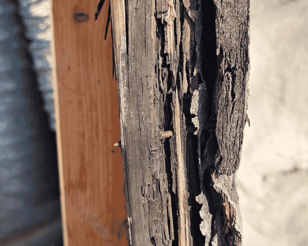 Water damage. Warping and cracked panel.