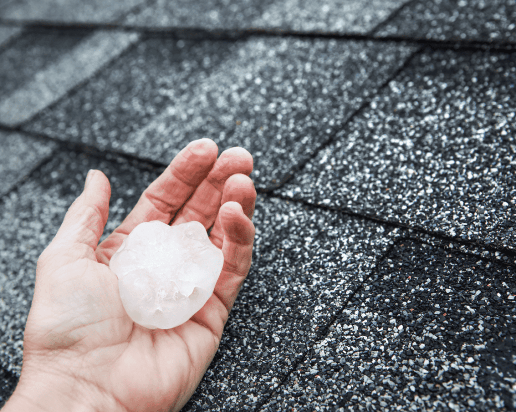 a hand holding a piece of hail next to roof shingles